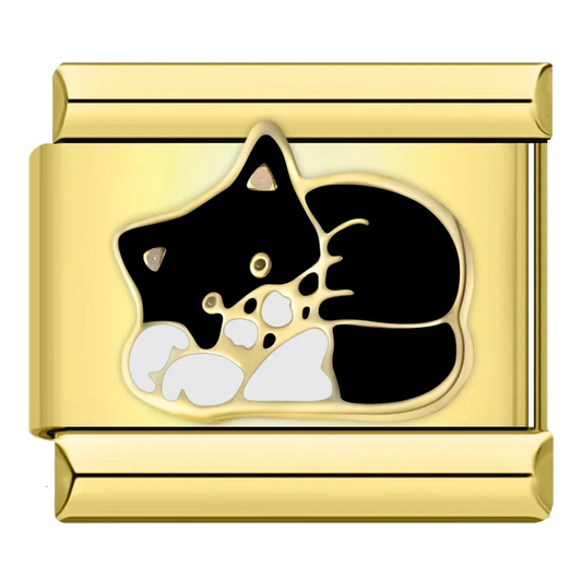 Kitty Charm