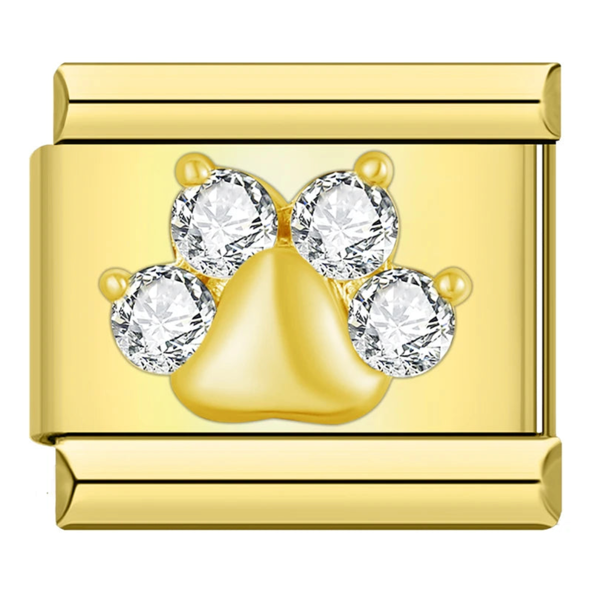 Paws Of Diamonds Charm